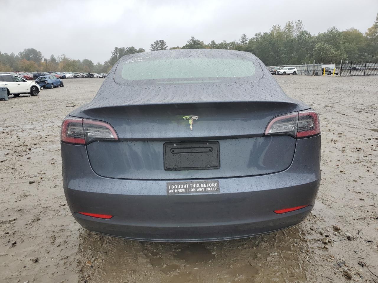 2020 Tesla Model 3 VIN: 5YJ3E1EA0LF736612 Lot: 85076995