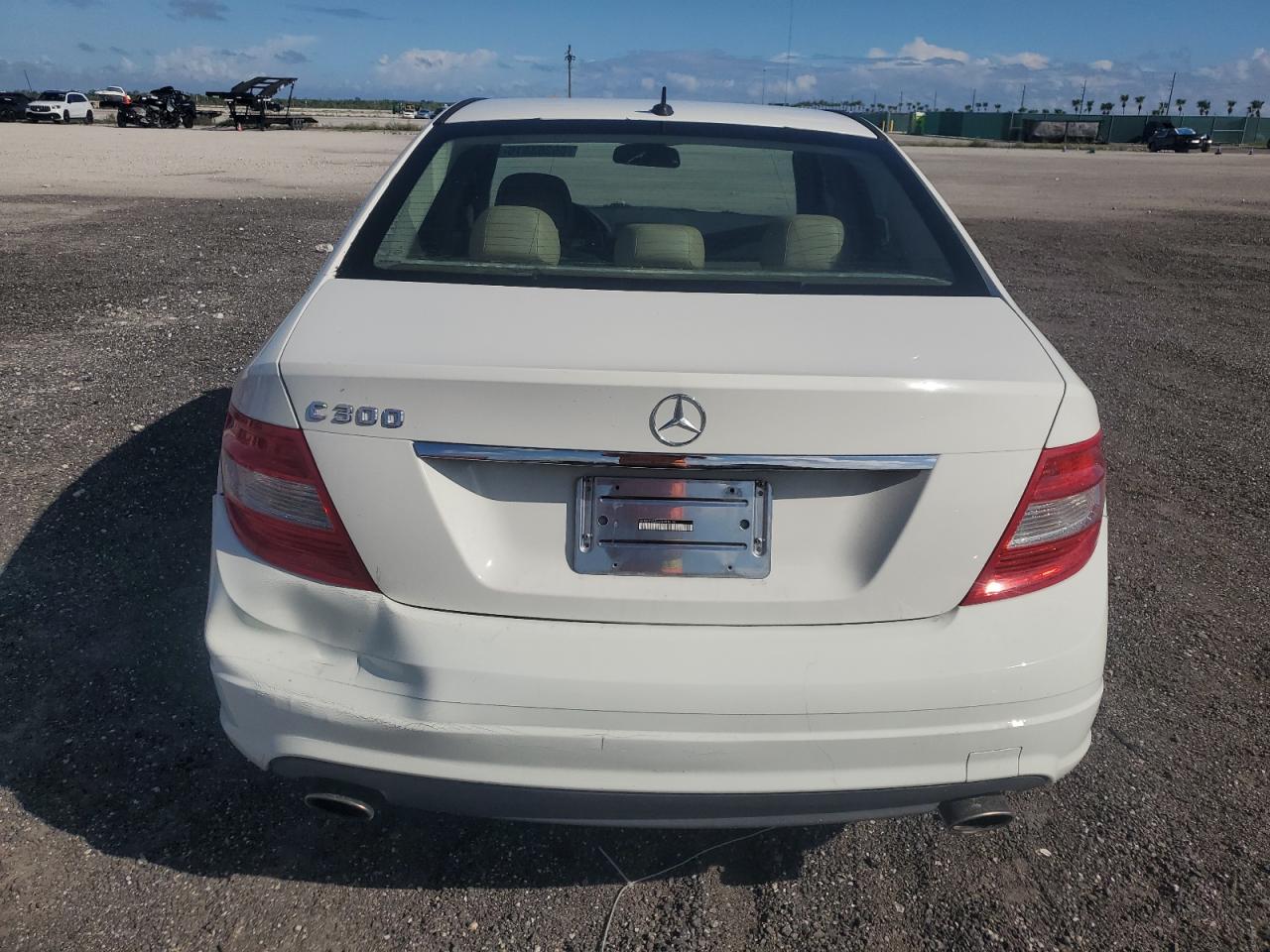 2010 Mercedes-Benz C 300 VIN: WDDGF5EB4AR098814 Lot: 85363815