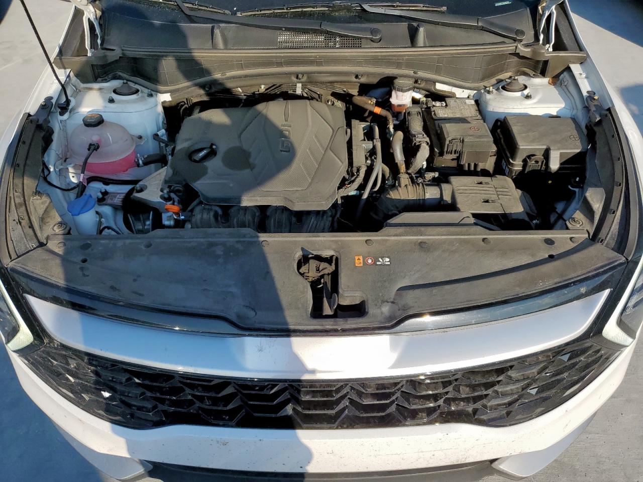 2024 Kia Sportage Ex VIN: 5XYK3CDF7RG188264 Lot: 85316615