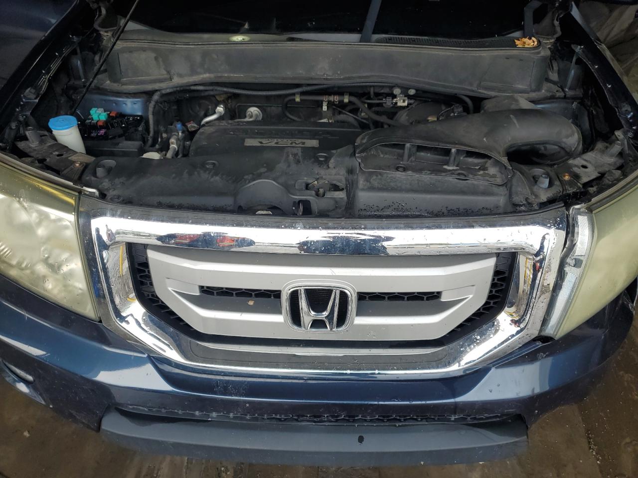 2010 Honda Pilot Exl VIN: 5FNYF4H57AB024677 Lot: 85922605