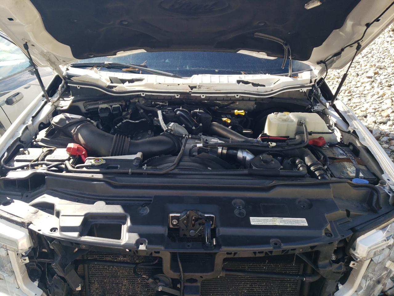 2019 Ford F350 Super Duty VIN: 1FT8W3BT4KEE95562 Lot: 80890225