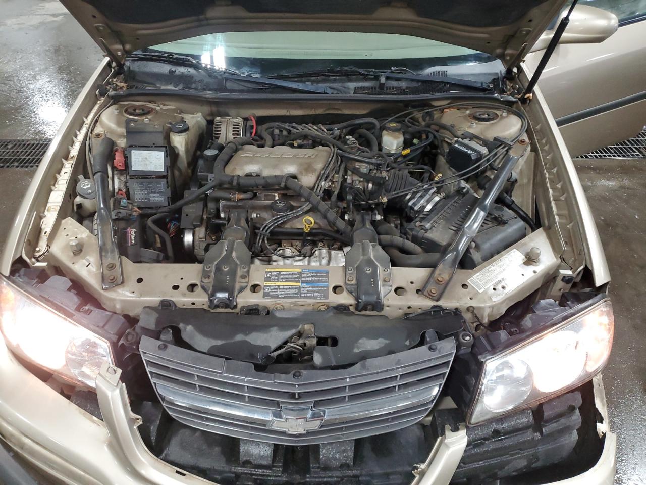 2005 Chevrolet Impala VIN: 2G1WF52E159231381 Lot: 87190125