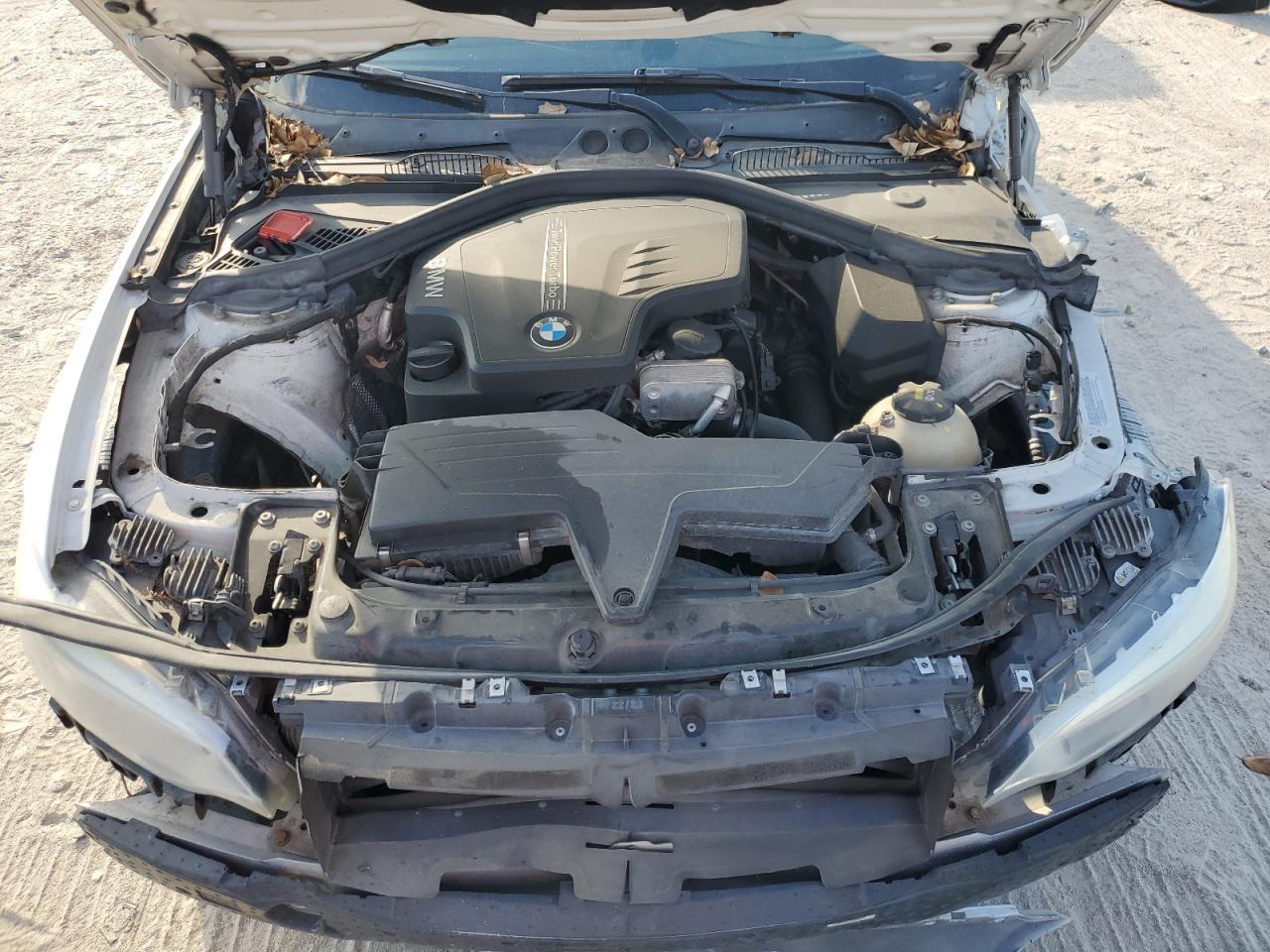 2016 BMW 228 I Sulev VIN: WBA1F9C5XGV544529 Lot: 87423295