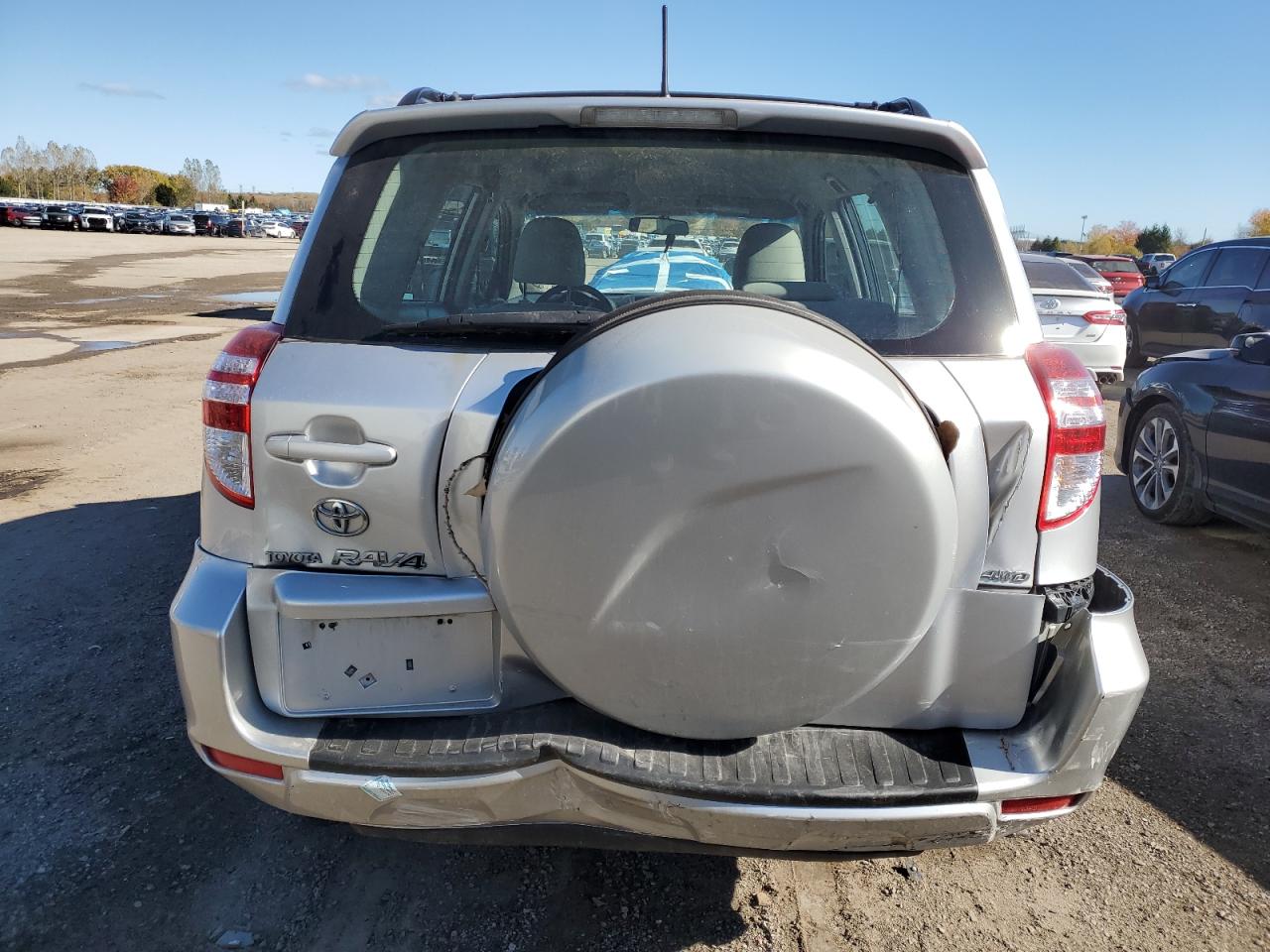 2010 Toyota Rav4 VIN: 2T3BF4DV4AW068304 Lot: 89931915