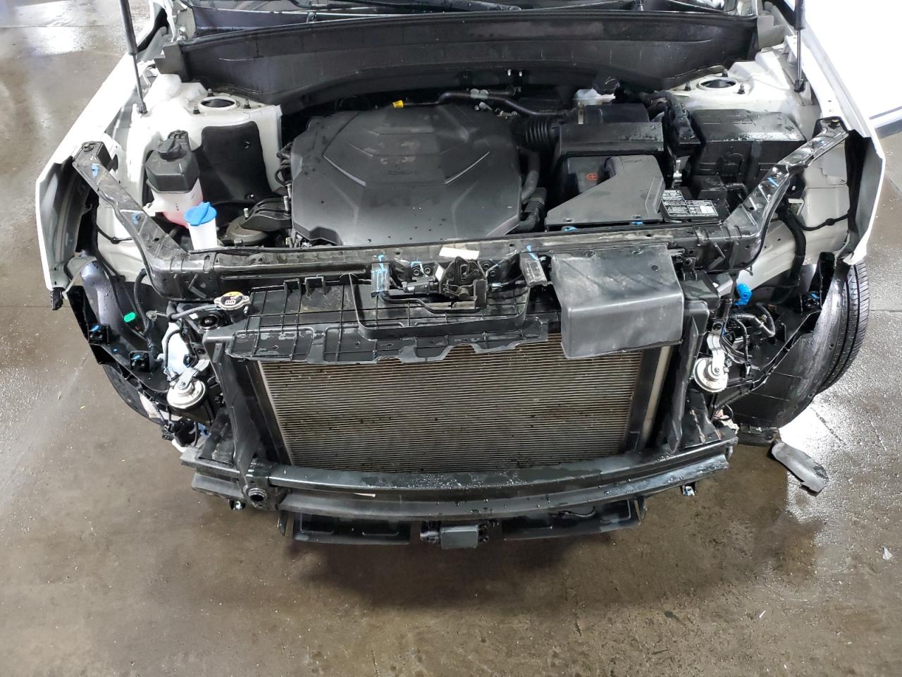 2024 Kia Telluride Ex VIN: 5XYP3DGC1RG561229 Lot: 86143915