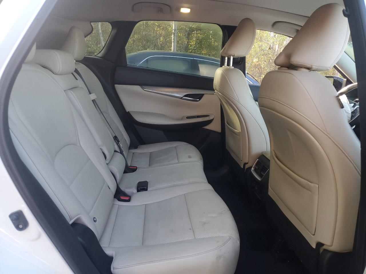 2019 Infiniti Qx50 Essential VIN: 3PCAJ5M36KF135720 Lot: 80659415