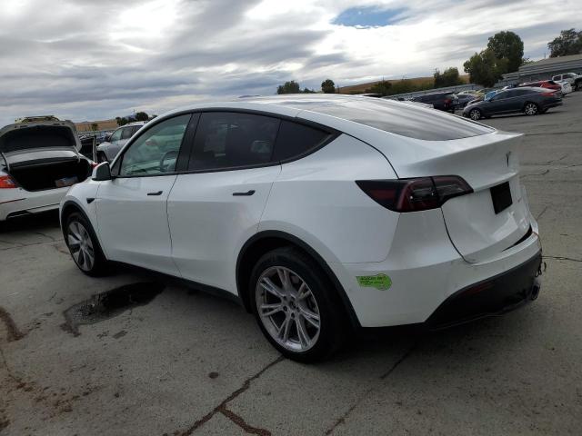  TESLA MODEL Y 2023 White