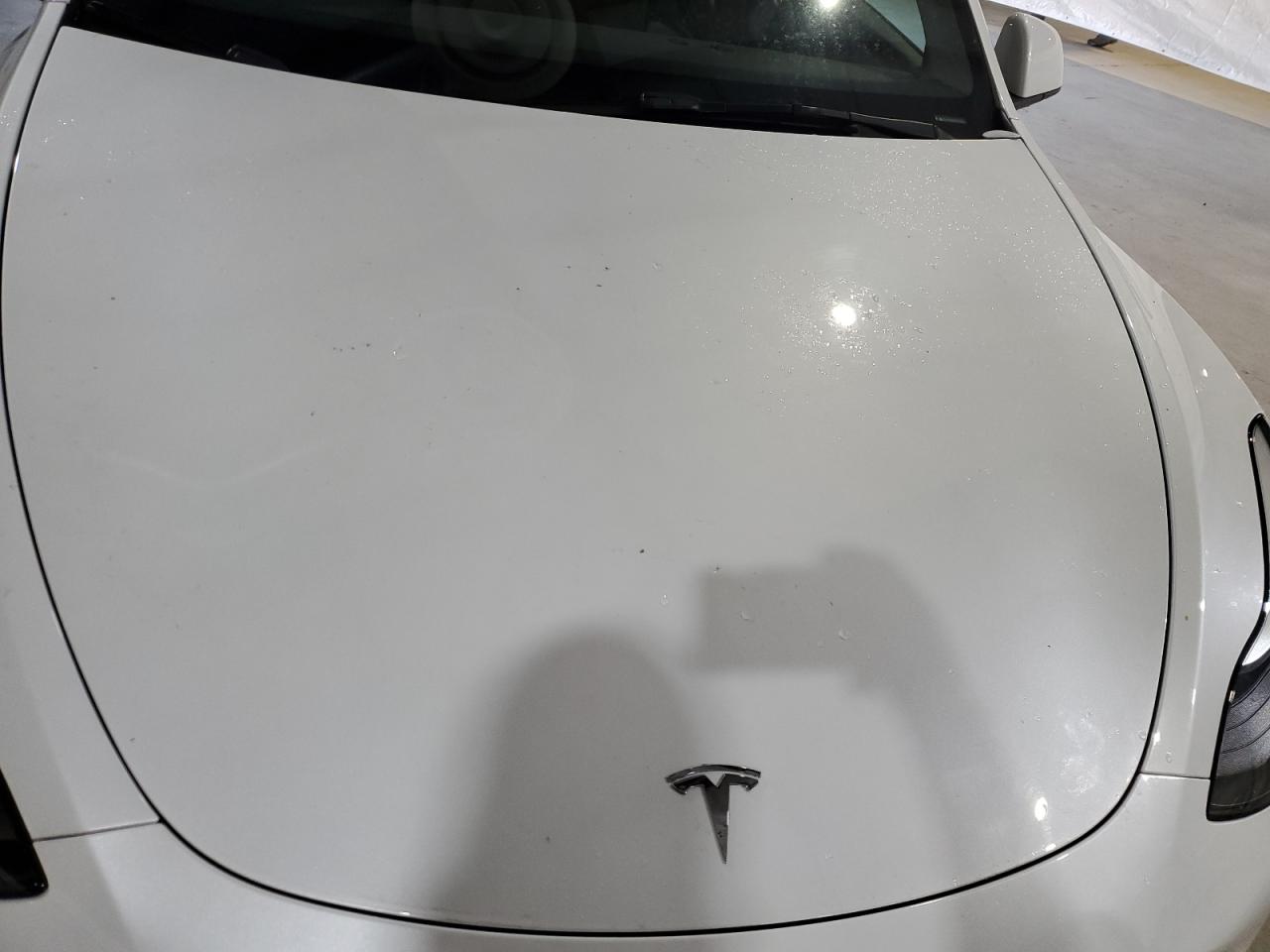2023 Tesla Model Y VIN: 7SAYGDEE9PA173165 Lot: 84955405