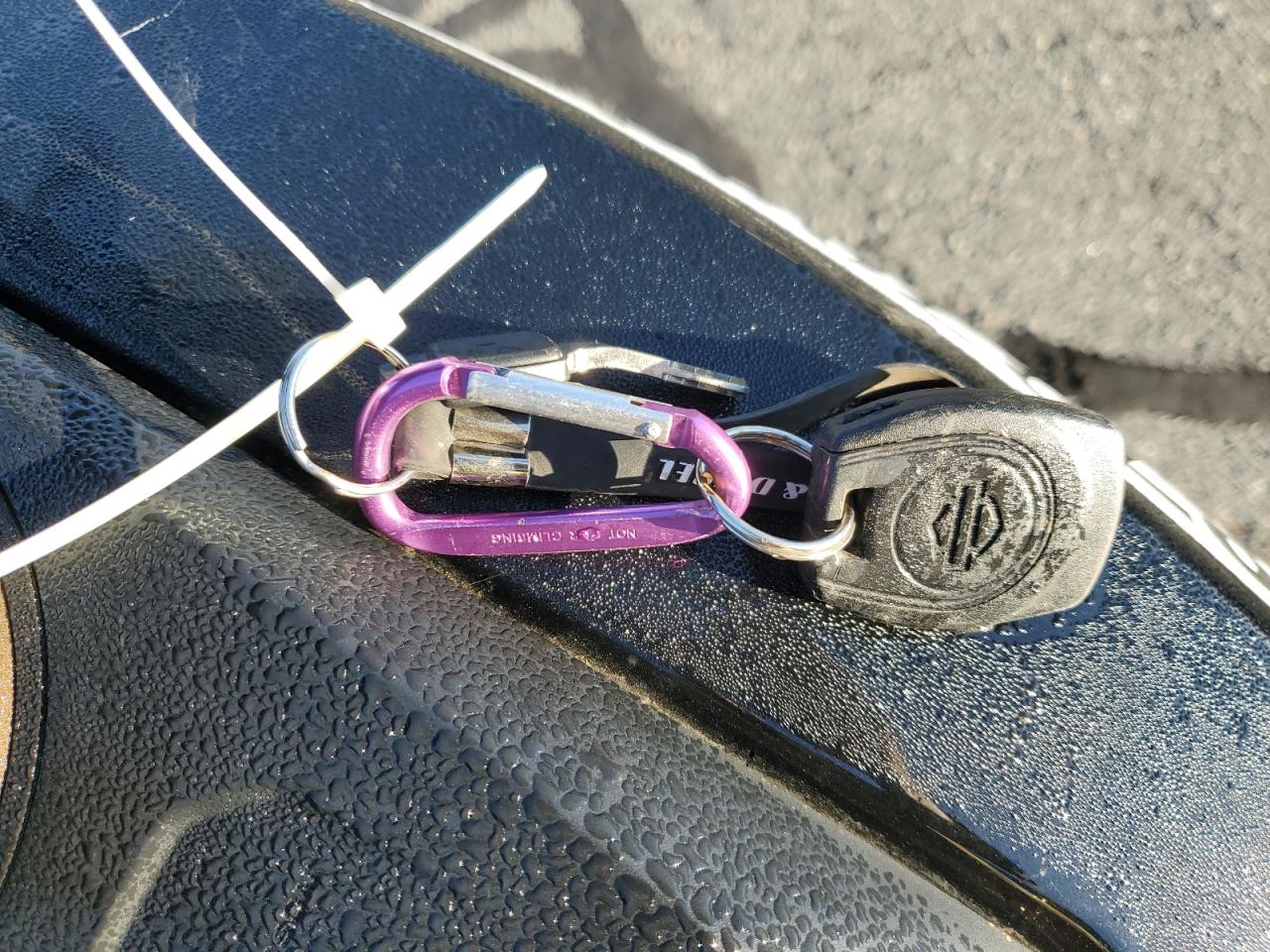 2021 Harley-Davidson Rh1250 S VIN: 1HD1ZC410MB313752 Lot: 87279895