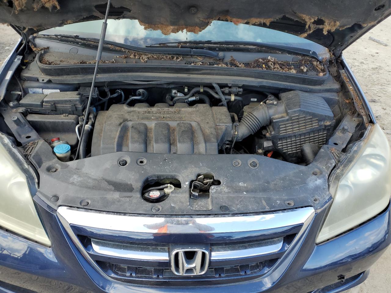 2007 Honda Odyssey Ex VIN: 5FNRL38497B078778 Lot: 85842165