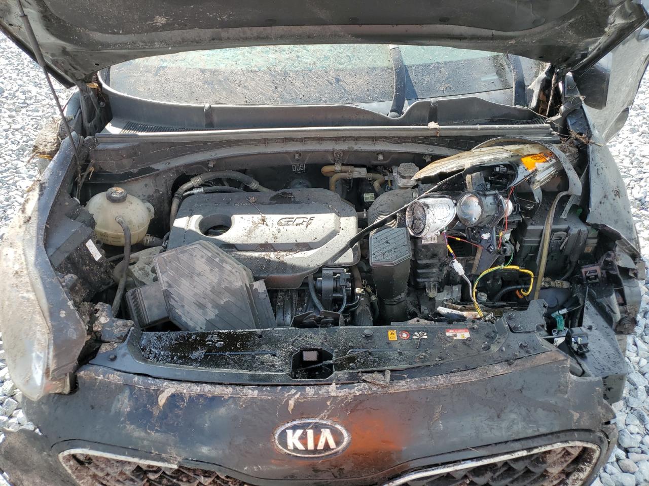 2020 Kia Sportage Lx VIN: KNDPM3AC1L7684811 Lot: 84833035