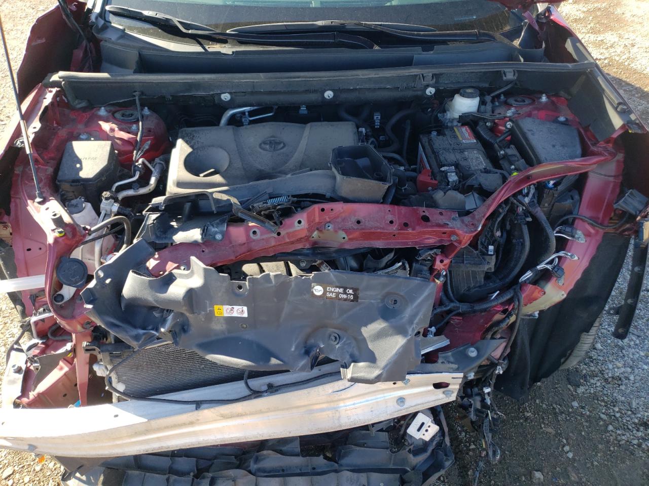 2023 Toyota Rav4 Xle Premium VIN: 2T3A1RFV3PW406417 Lot: 82263565