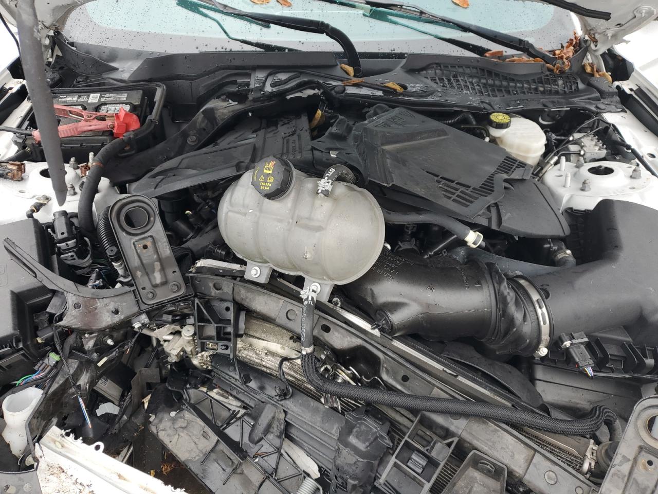 2022 Ford Mustang Gt VIN: 1FA6P8CF4N5112983 Lot: 85472555