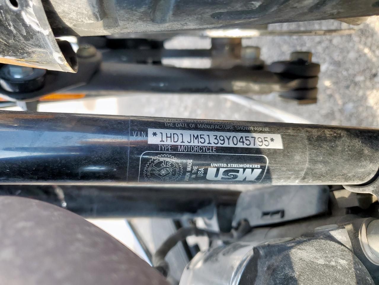 2009 Harley-Davidson Flstsb VIN: 1HD1JM5139Y045795 Lot: 86339775