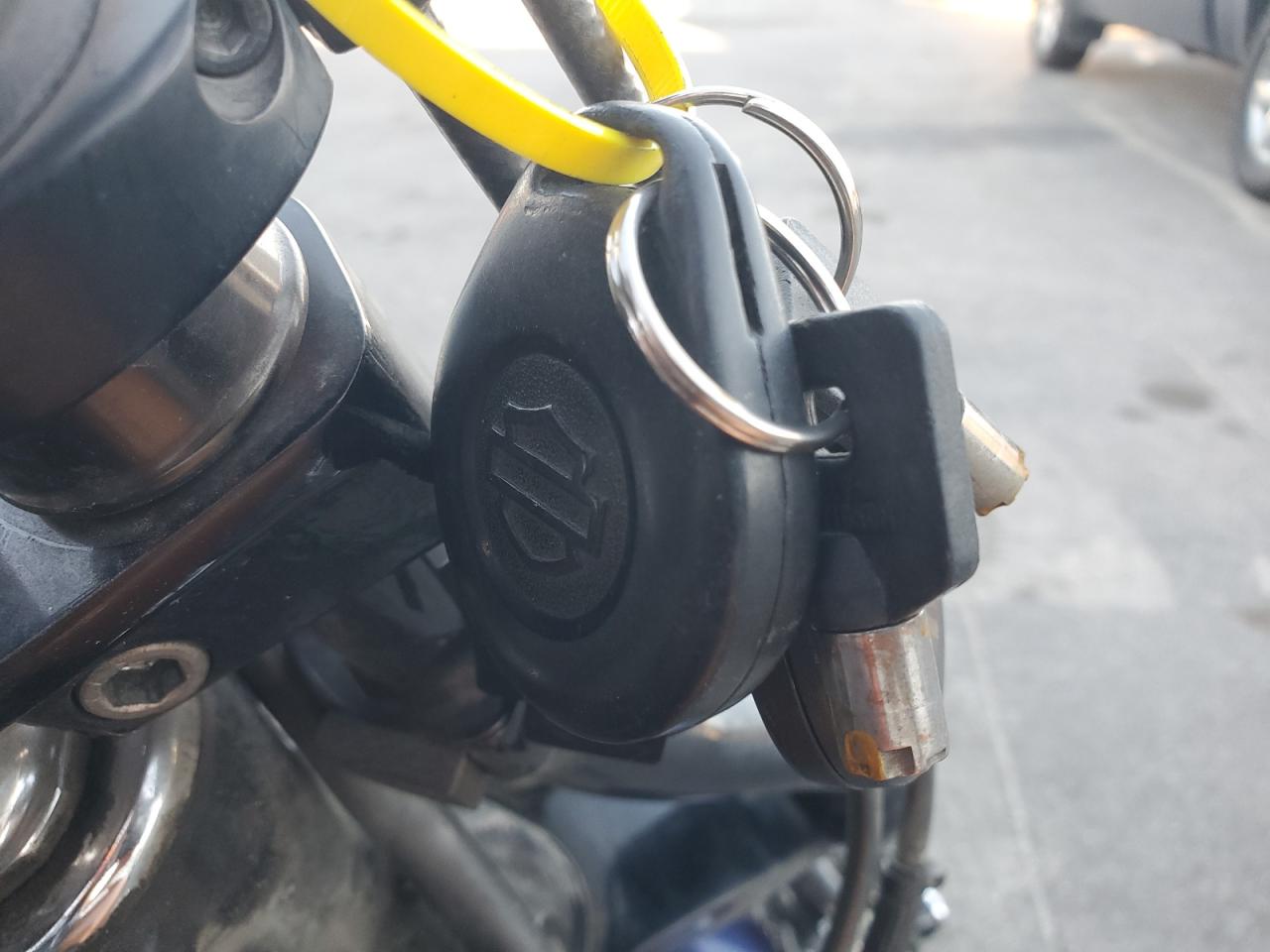 2008 Harley-Davidson Fxstc 105Th Anniversary Edition VIN: 1HD1JL5488Y041387 Lot: 86098895