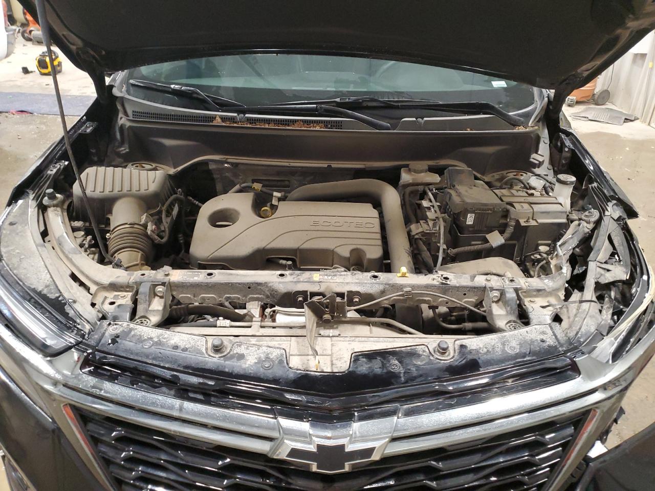 2023 Chevrolet Equinox Premier VIN: 3GNAXXEG8PL231974 Lot: 86282805