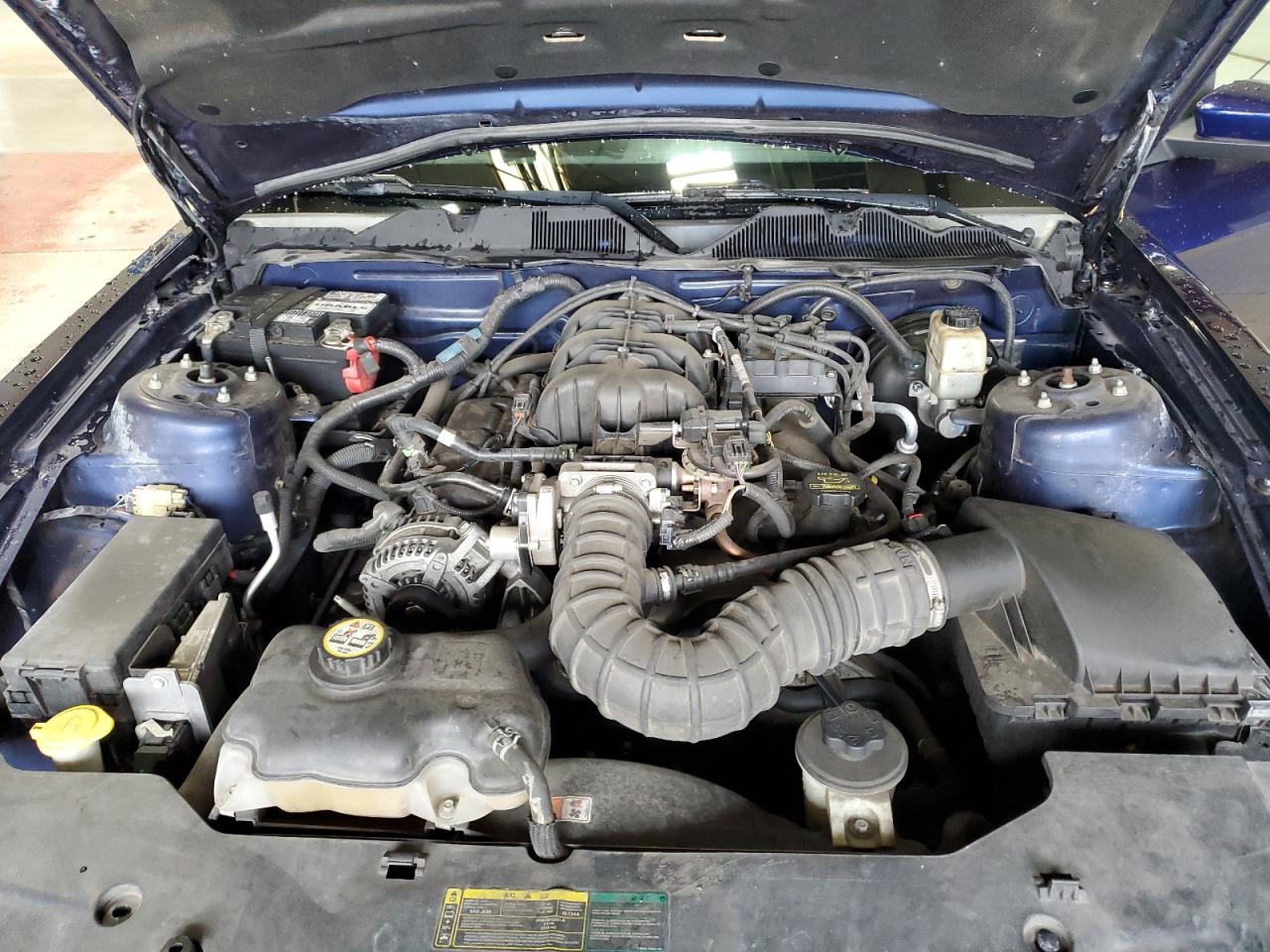 2010 Ford Mustang VIN: 1ZVBP8EN8A5107290 Lot: 89892905