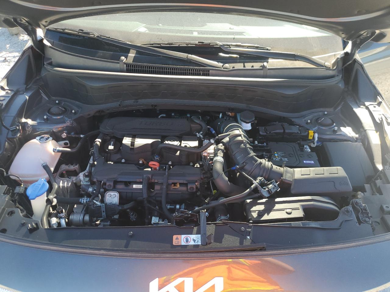 2024 Kia Seltos Sx VIN: KNDETCA73R7496488 Lot: 82471895