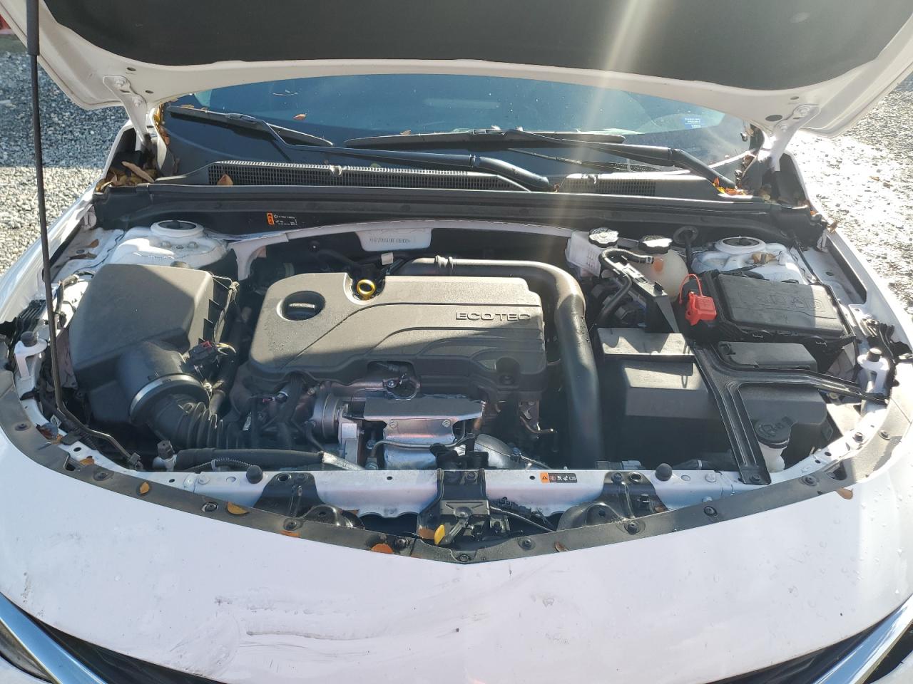 2024 Chevrolet Malibu Ls VIN: 1G1ZB5STXRF135303 Lot: 85145705