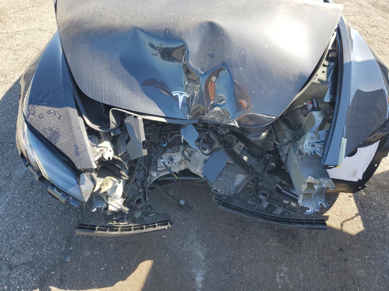 2025 Tesla Model 3 VIN: 5YJ3E1EB0SF008313 Lot: 85726765