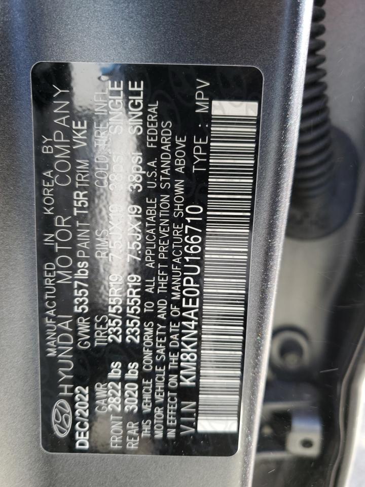 2023 Hyundai Ioniq 5 Sel VIN: KM8KN4AE0PU166710 Lot: 82348955