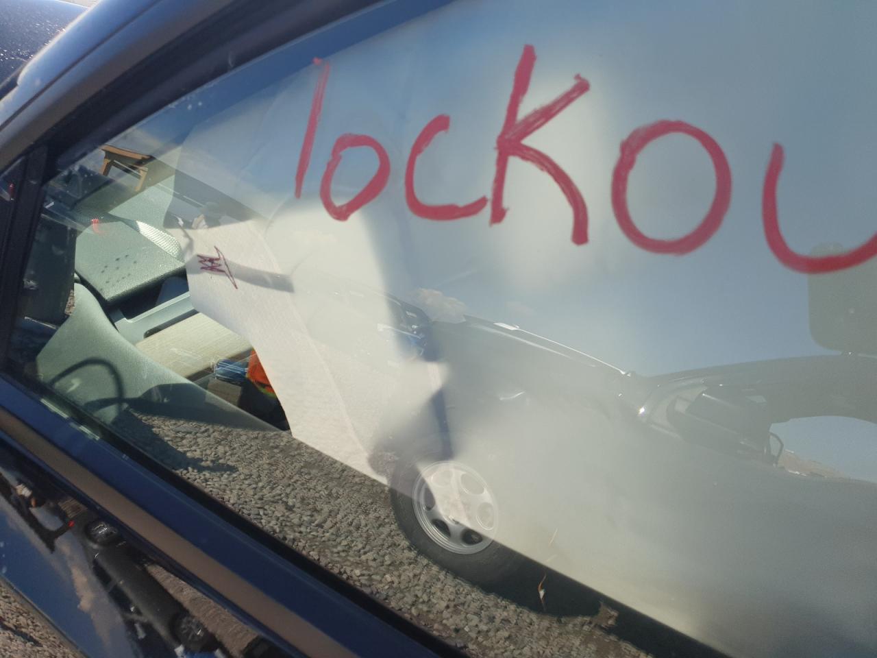 2024 Tesla Model Y VIN: 7SAYGDEF6RF048557 Lot: 81765075