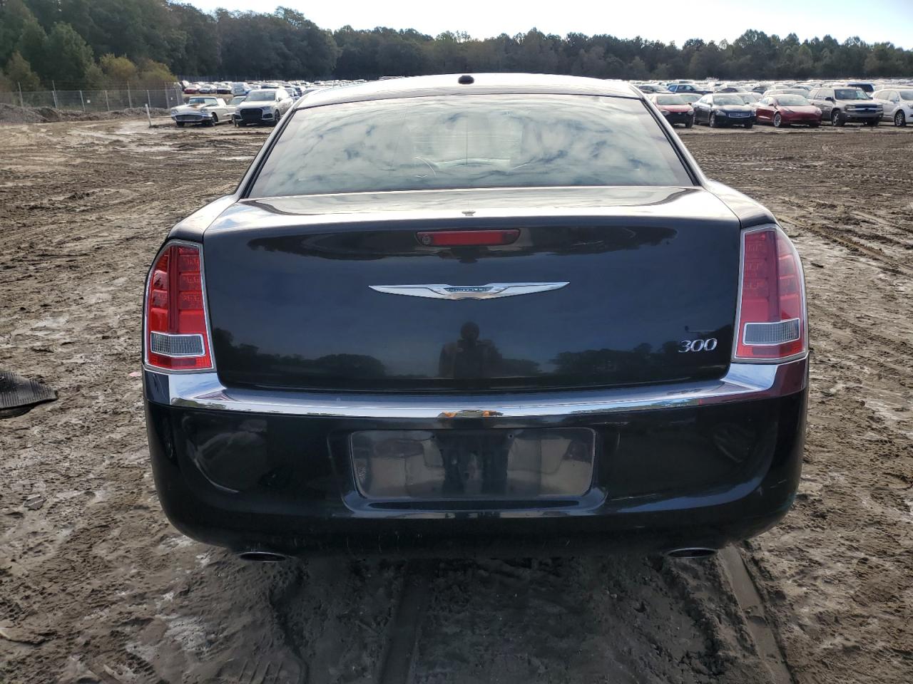 2013 Chrysler 300 VIN: 2C3CCAAG0DH599431 Lot: 86660955