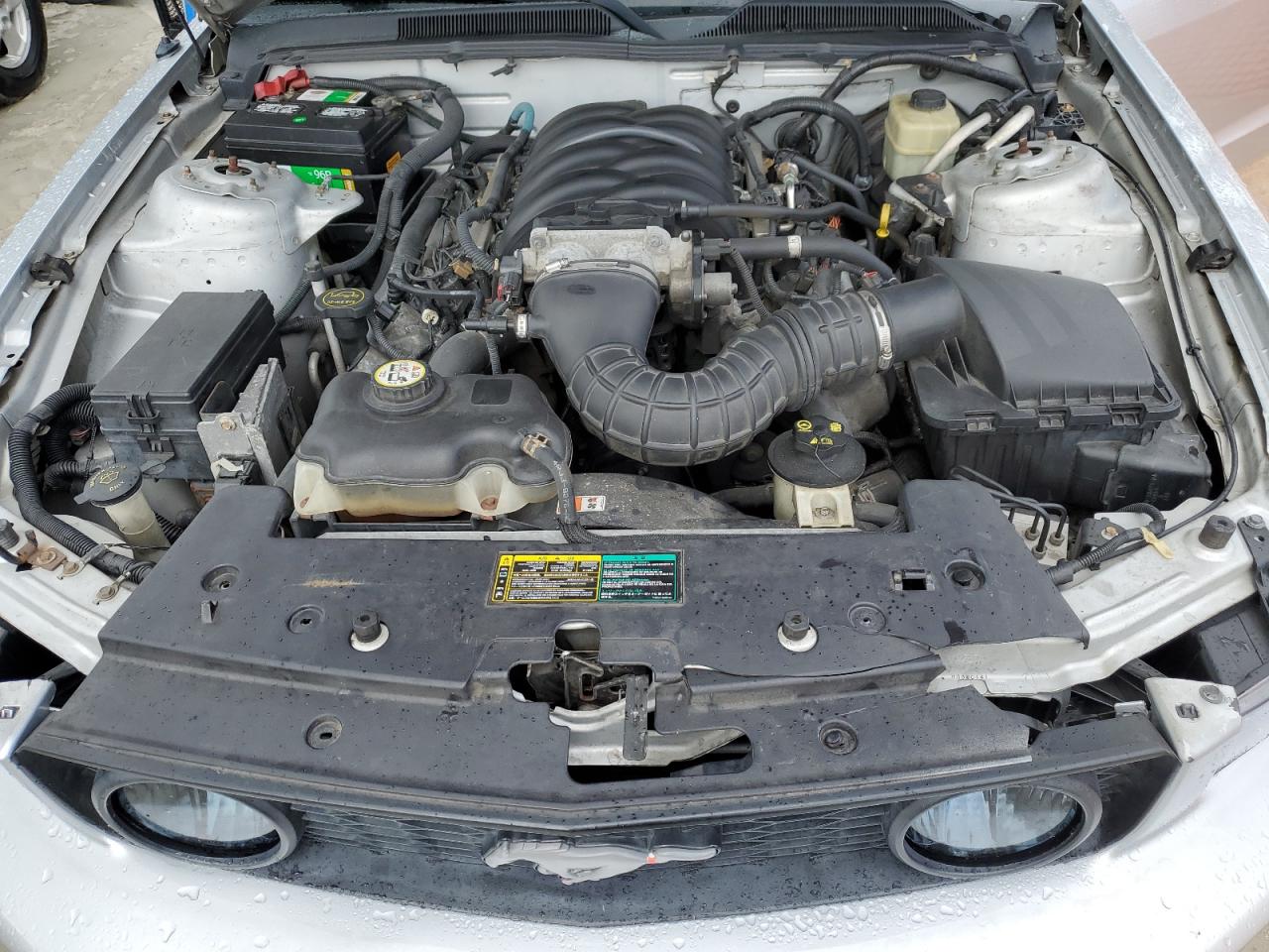 2005 Ford Mustang Gt VIN: 1ZVFT82H155119248 Lot: 85814475