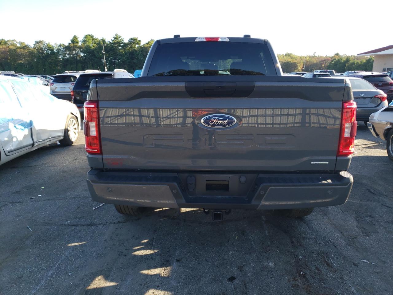 2021 Ford F150 Supercrew VIN: 1FTEW1EP4MKE30317 Lot: 85122855
