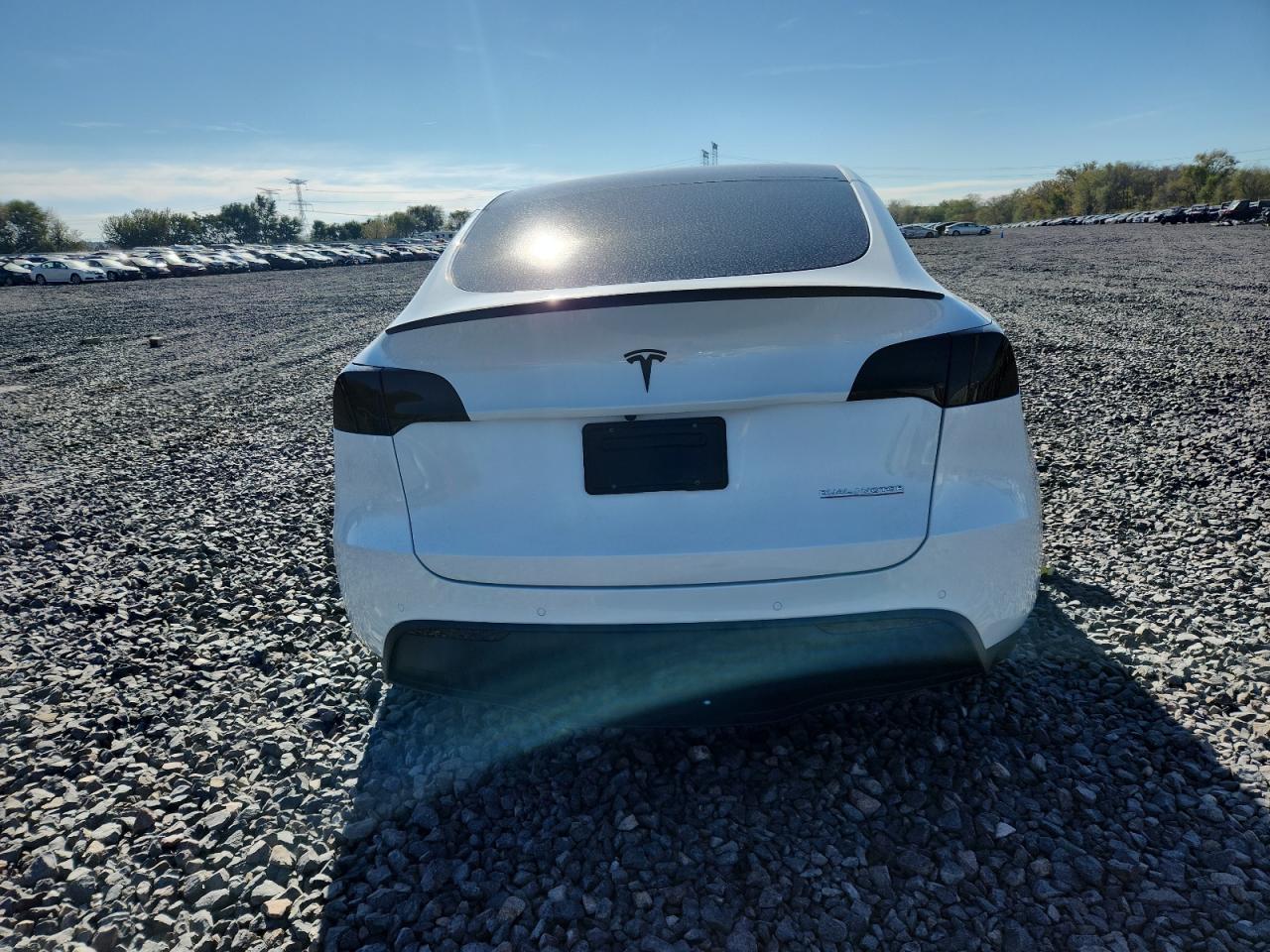 2022 Tesla Model Y VIN: 7SAYGDEF3NF493719 Lot: 90256825