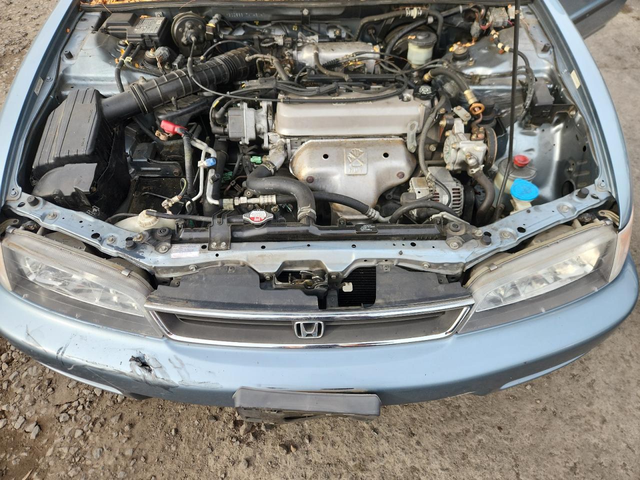 1996 Honda Accord Lx VIN: 1HGCD5631TA146147 Lot: 91059035