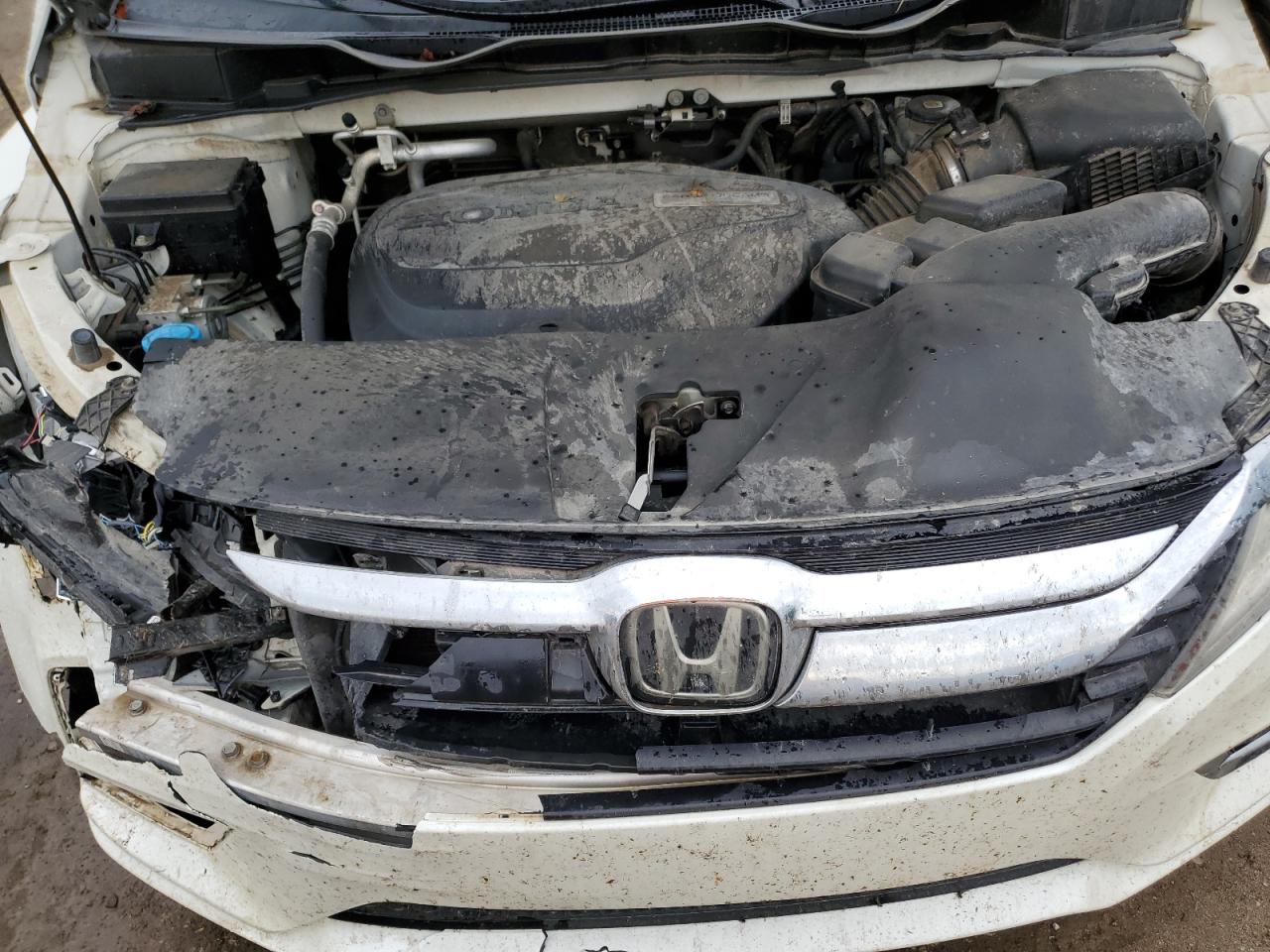 2018 Honda Odyssey Elite VIN: 5FNRL6H99JB035899 Lot: 86605025