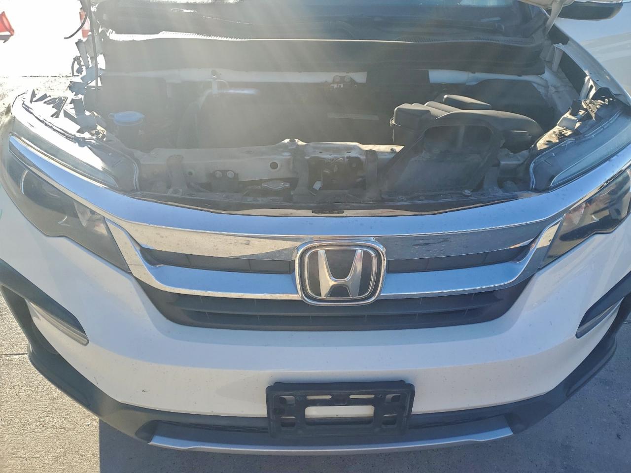 2019 Honda Pilot Exl VIN: 5FNYF6H50KB051958 Lot: 90788125