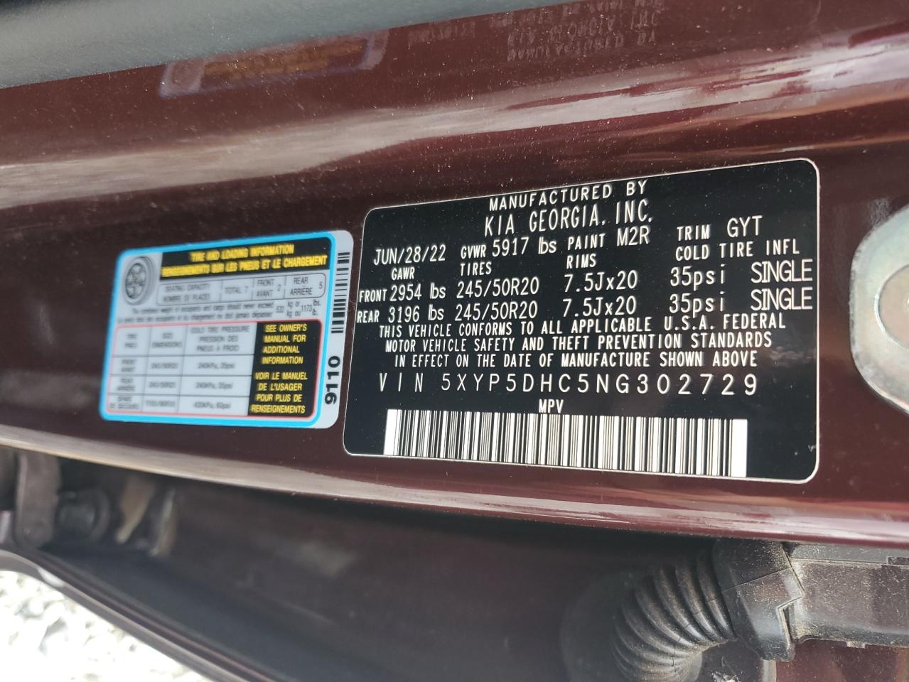 2022 Kia Telluride Sx VIN: 5XYP5DHC5NG302729 Lot: 82236535