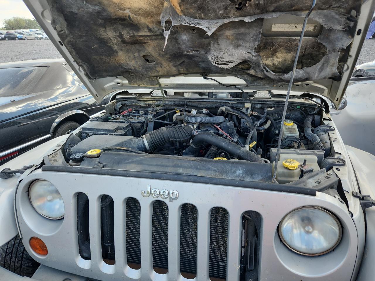 2009 Jeep Wrangler Unlimited Sahara VIN: 1J8GA59129L752033 Lot: 82254955