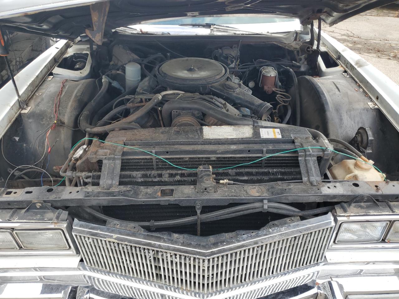 1977 Cadillac Eldorado VIN: 6L47S7Q251858 Lot: 87473375