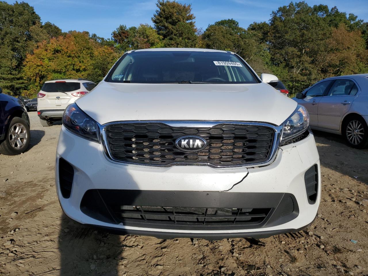 2020 Kia Sorento S VIN: 5XYPGDA54LG668488 Lot: 81959405