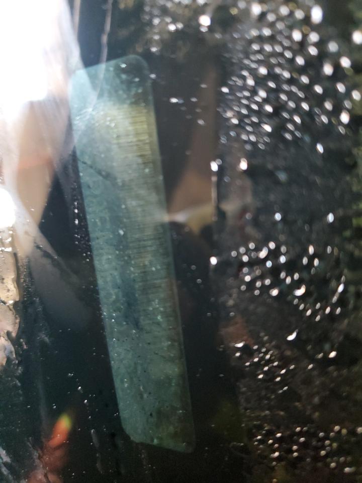 2014 Ford Mustang VIN: 1ZVBP8EM9E5224695 Lot: 82258965