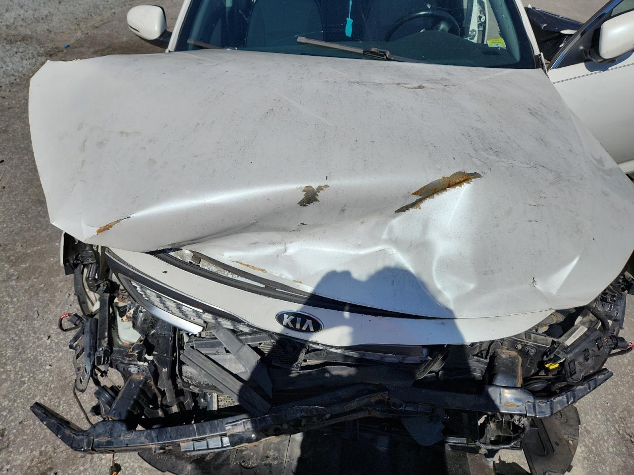 2014 Kia Optima Hybrid VIN: KNAGN4AD2E5069935 Lot: 81959535