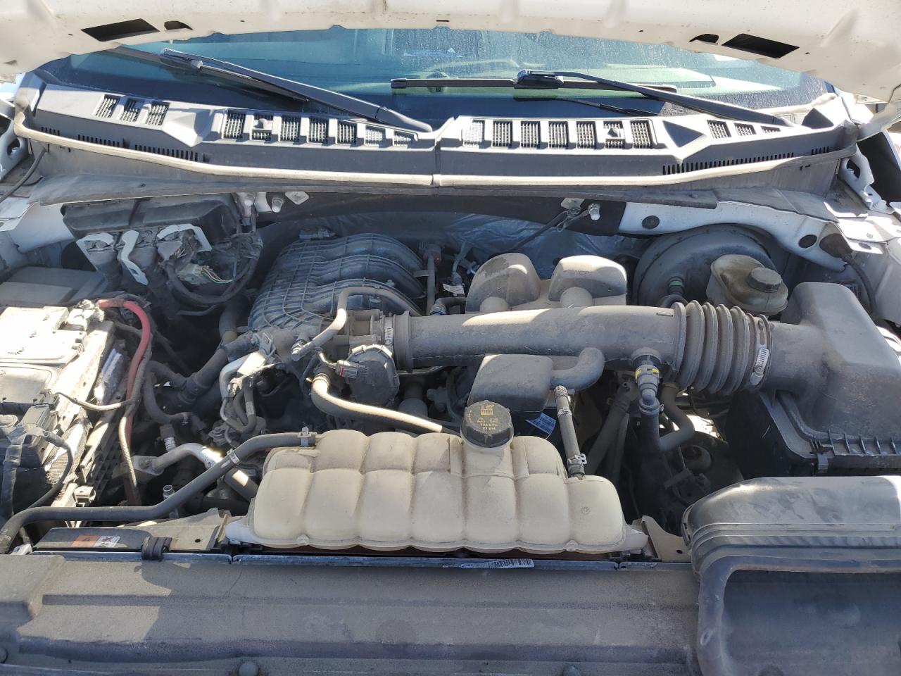 2019 Ford F150 VIN: 1FTMF1CB4KKE24730 Lot: 87378585