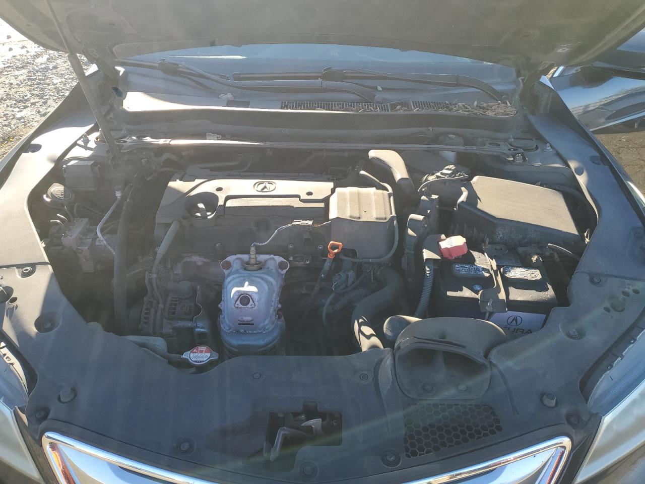 Фото: 19UUB1F38FA019094