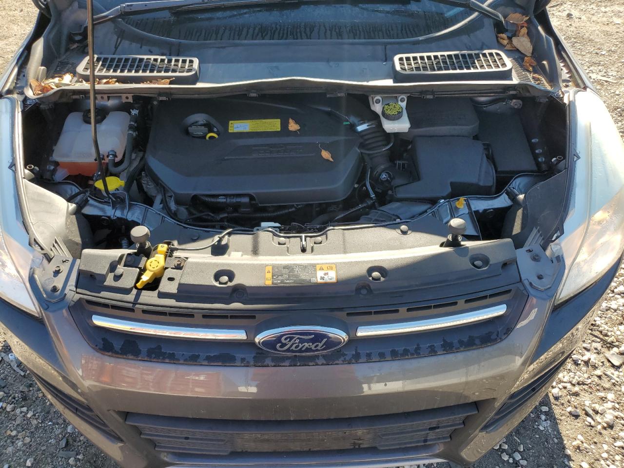 2014 Ford Escape Se VIN: 1FMCU0GX5EUD02710 Lot: 82230635