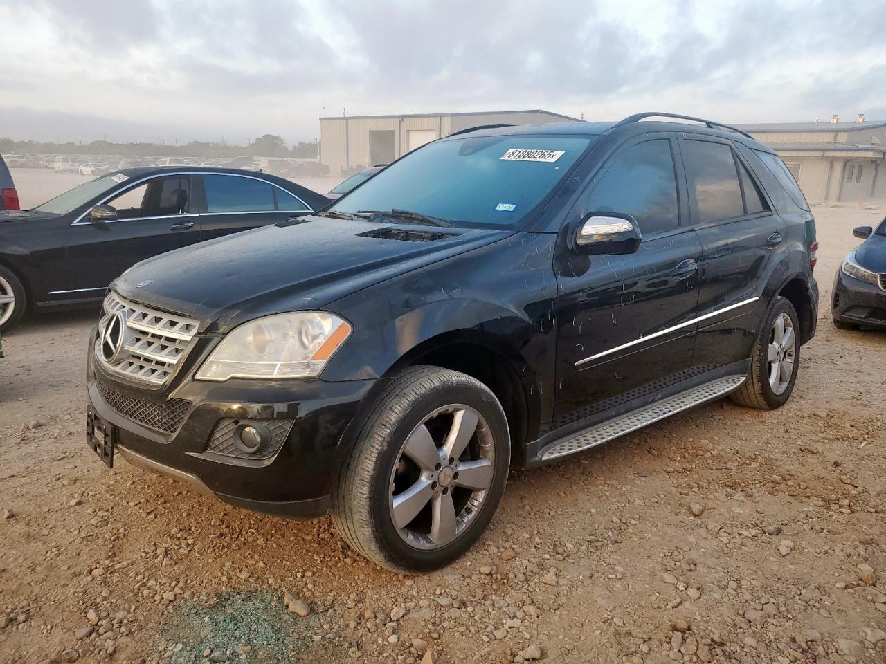 2009 Mercedes-Benz Ml 350