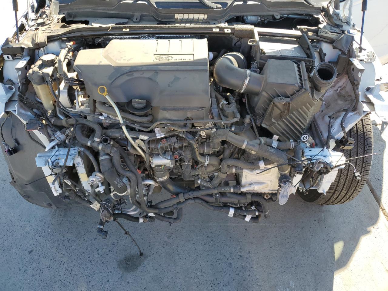 2021 Land Rover Range Rover Evoque S VIN: SALZJ2FX4MH138323 Lot: 82505075