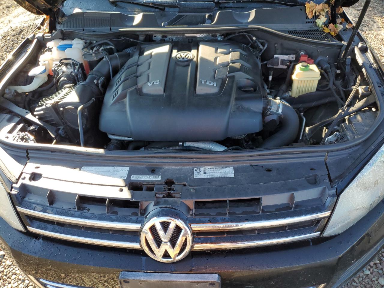 2013 Volkswagen Touareg V6 Tdi VIN: WVGEP9BP8DD004176 Lot: 87032895