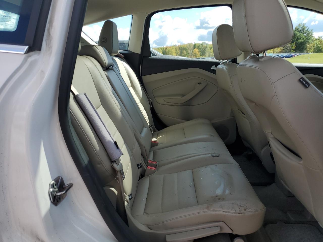 2013 Ford C-Max Premium VIN: 1FADP5CU2DL516380 Lot: 82295165