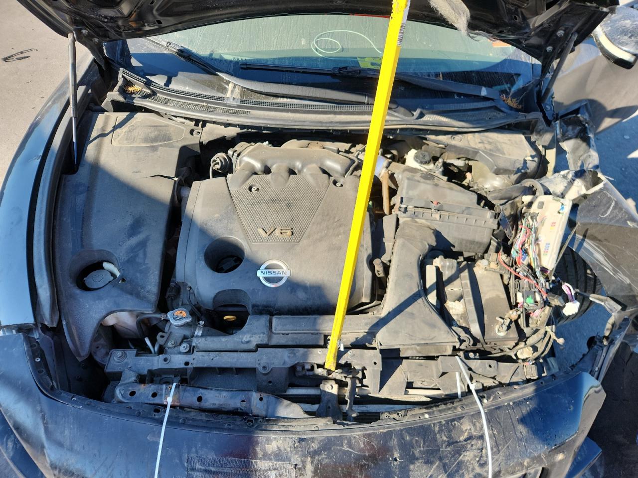 2009 Nissan Maxima S VIN: 1N4AA51E49C851180 Lot: 84441615