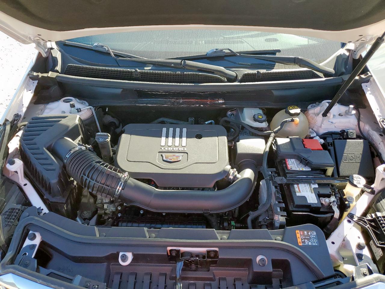 2021 Cadillac Xt5 Premium Luxury VIN: 1GYKNCR49MZ154400 Lot: 85552185