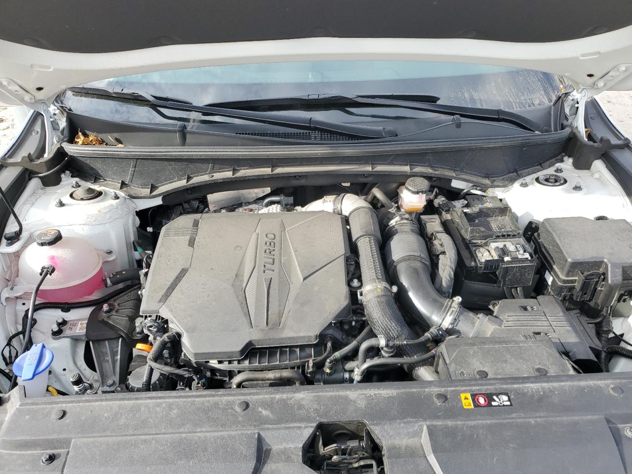 2025 Hyundai Santa Cruz Limited VIN: 5NTJEDDF9SH128370 Lot: 85276145