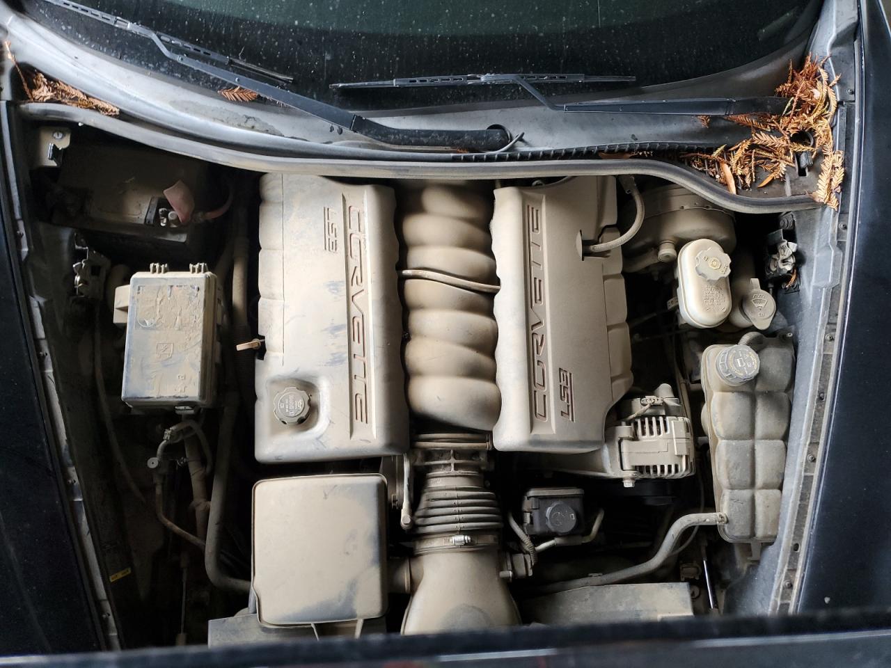 2011 Chevrolet Corvette VIN: 1G1YE2DW5B5106859 Lot: 81966715